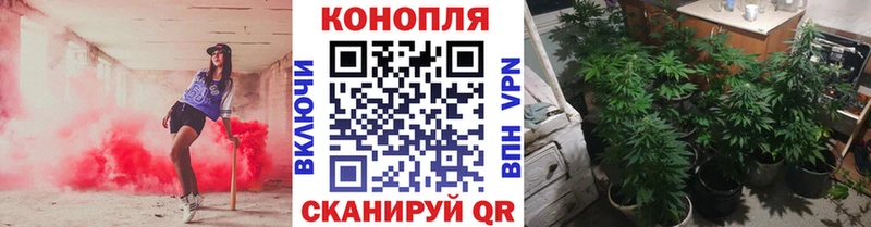 Канабис ГИДРОПОН  Купить закладки  Светлый 
